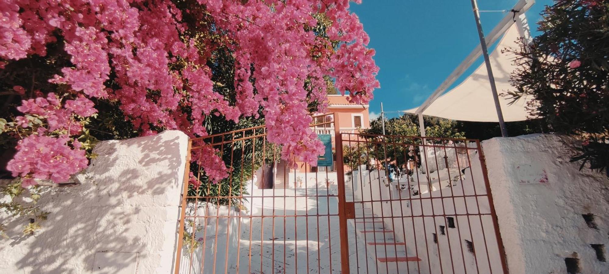 Villa La Casa Rosa Ponza Exterior foto